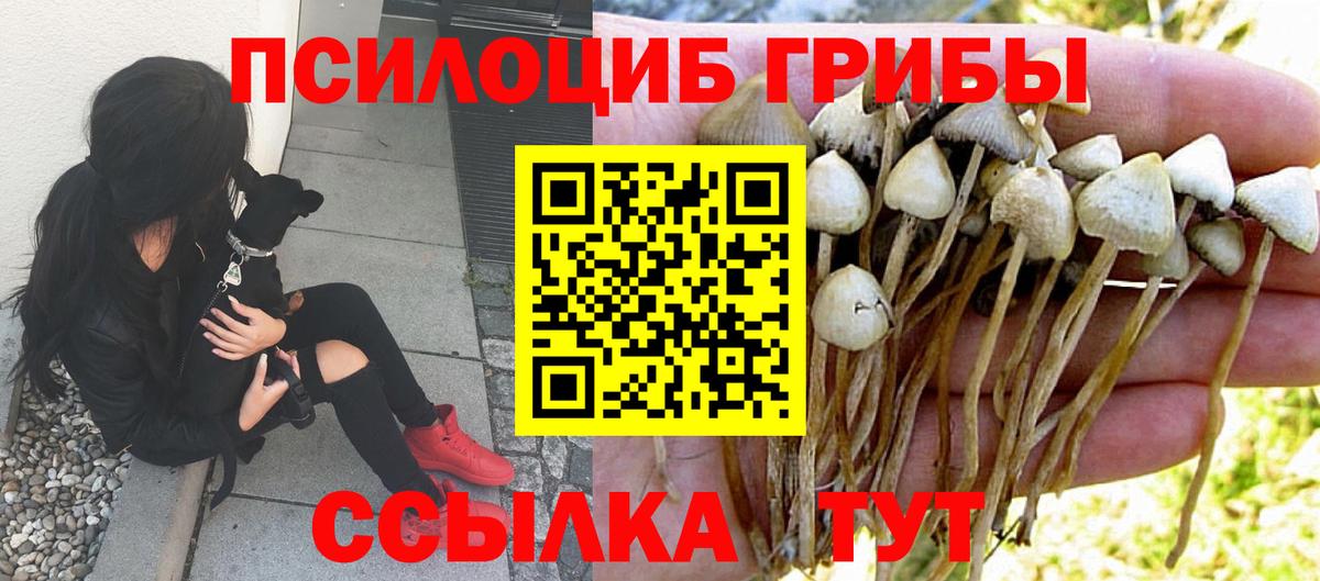 Псилоцибиновые грибы Magic Shrooms  Вход с VPN  Лосино-Петровский 