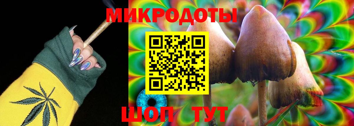 Псилоцибиновые грибы Cubensis Лосино-Петровский